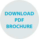 Download PDF